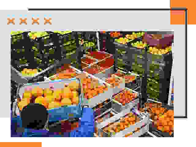 Перевозка скоропортящихся продуктов в Кинешме